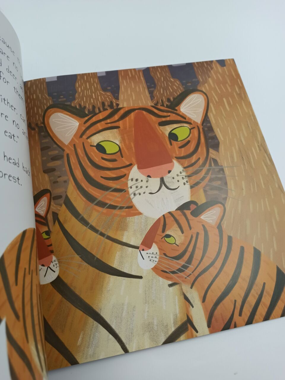 BK83 The Curious Tiger, Catherine Veitch