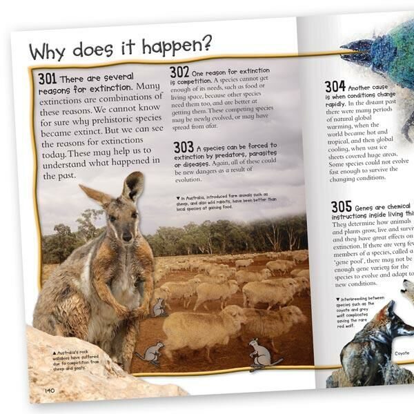 R509 Fantastic Animal Facts