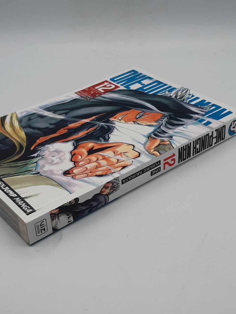 R543 One-Punch Man: Volume 12, ONE