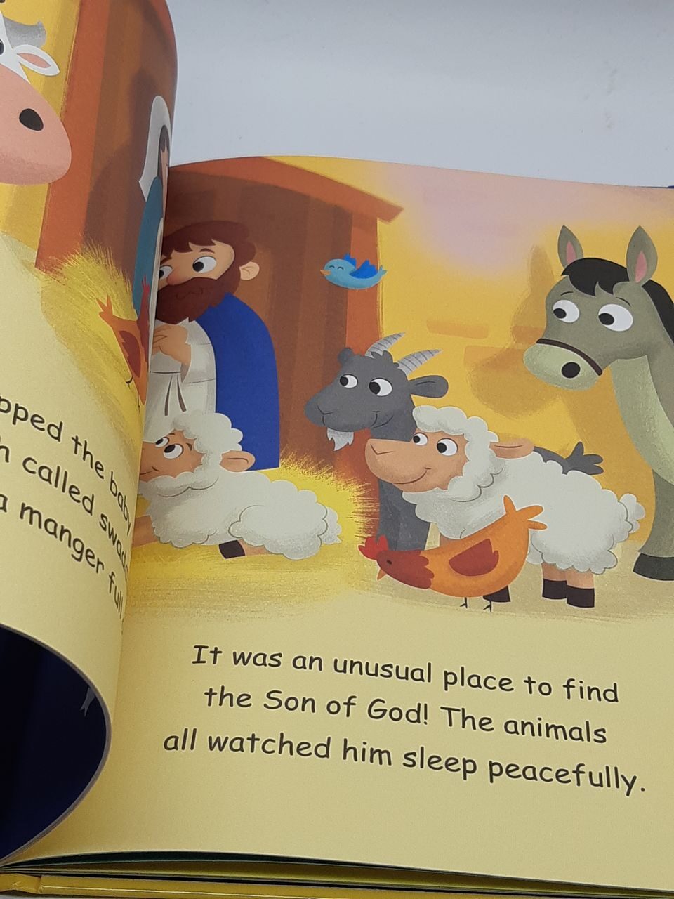 J502 Nativity Story