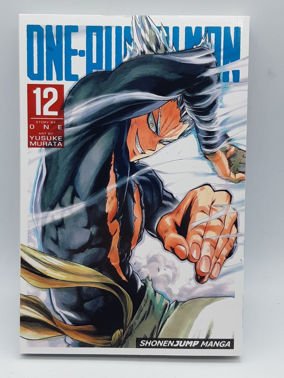 R543 One-Punch Man: Volume 12, ONE