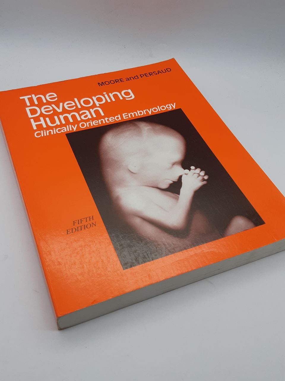 4P86 The Developing human. Clinically oriented Embriology. Moore and Persaud, 1993 год, USA