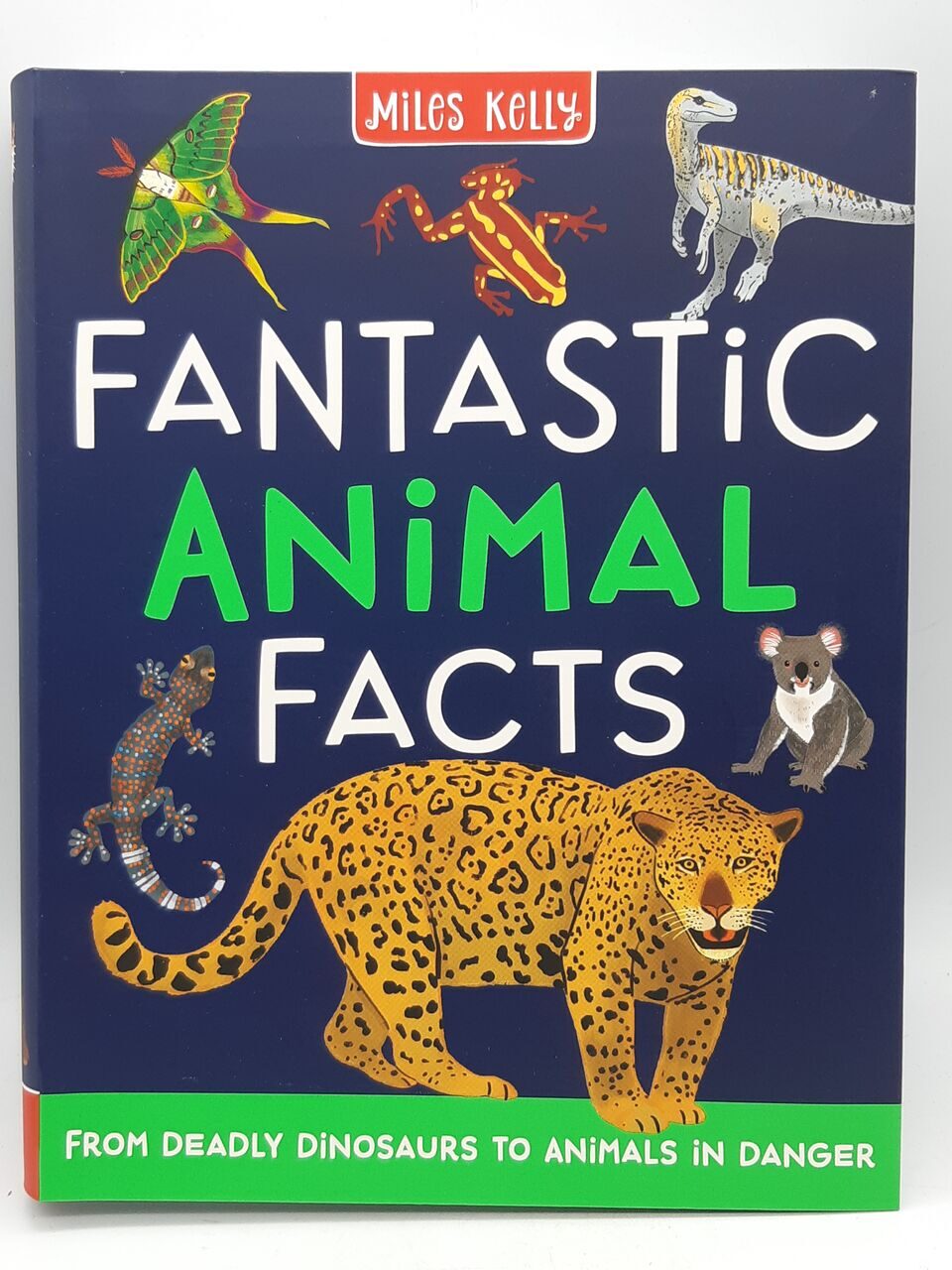 R509 Fantastic Animal Facts