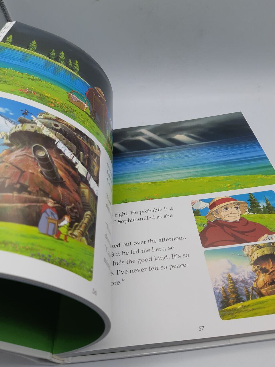 Q559 Howls Moving Castle Picture Book