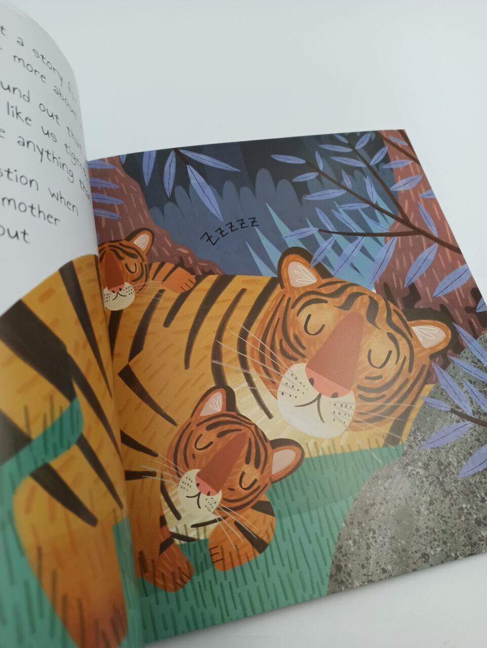 BK83 The Curious Tiger, Catherine Veitch