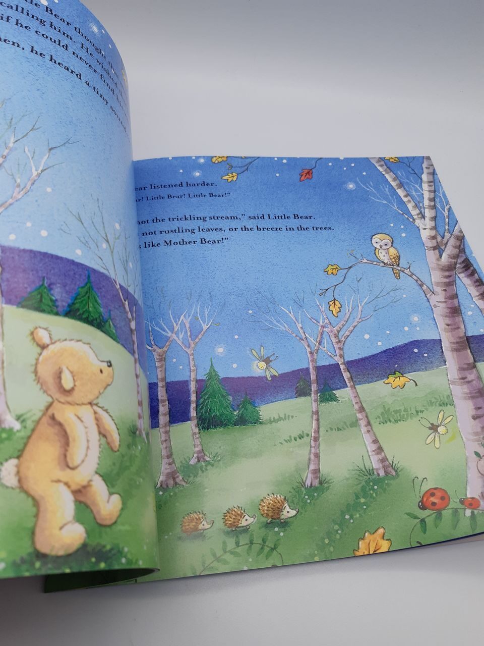 D164 Набор 10 книг  Bears And Friends 10 Kids Picture Books Bundle