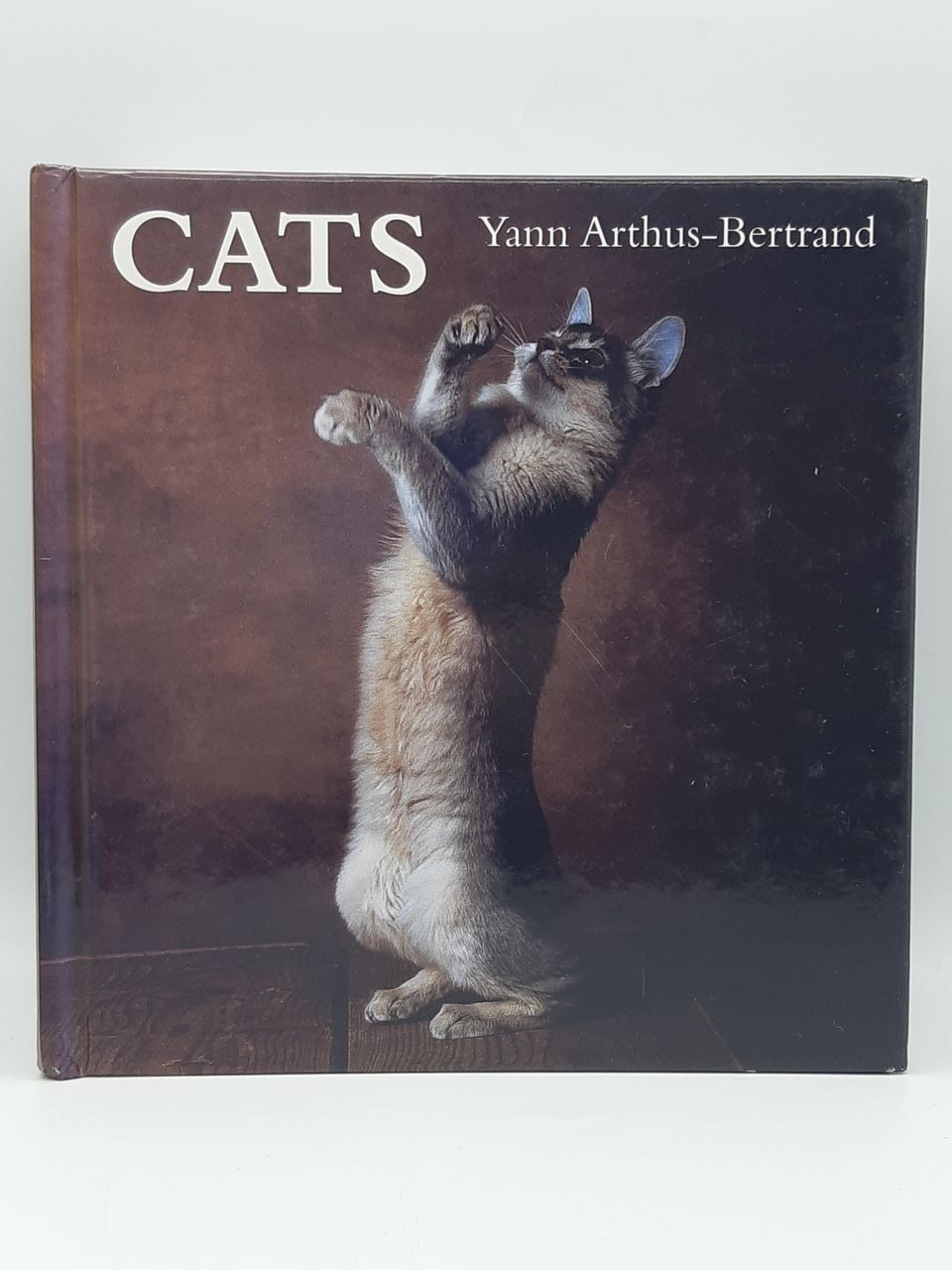 5P37 Cats, Yann Arthus-Bertrand