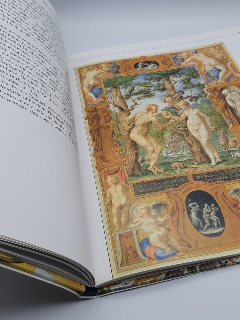 5P35 Illuminated Manuscripts, D.M.Gill